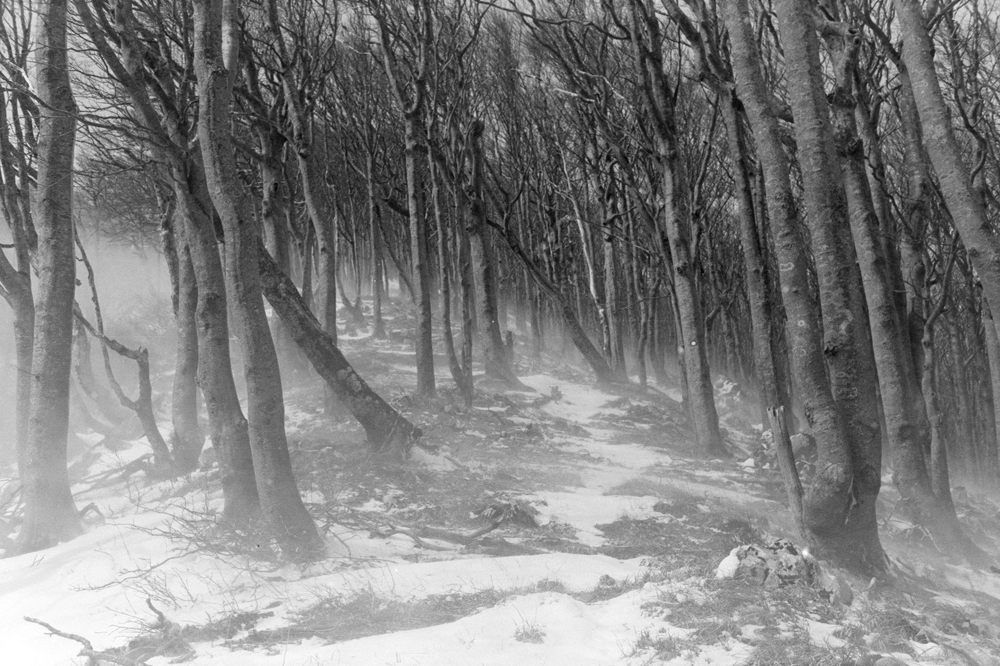 Photograph by Damir Gržin