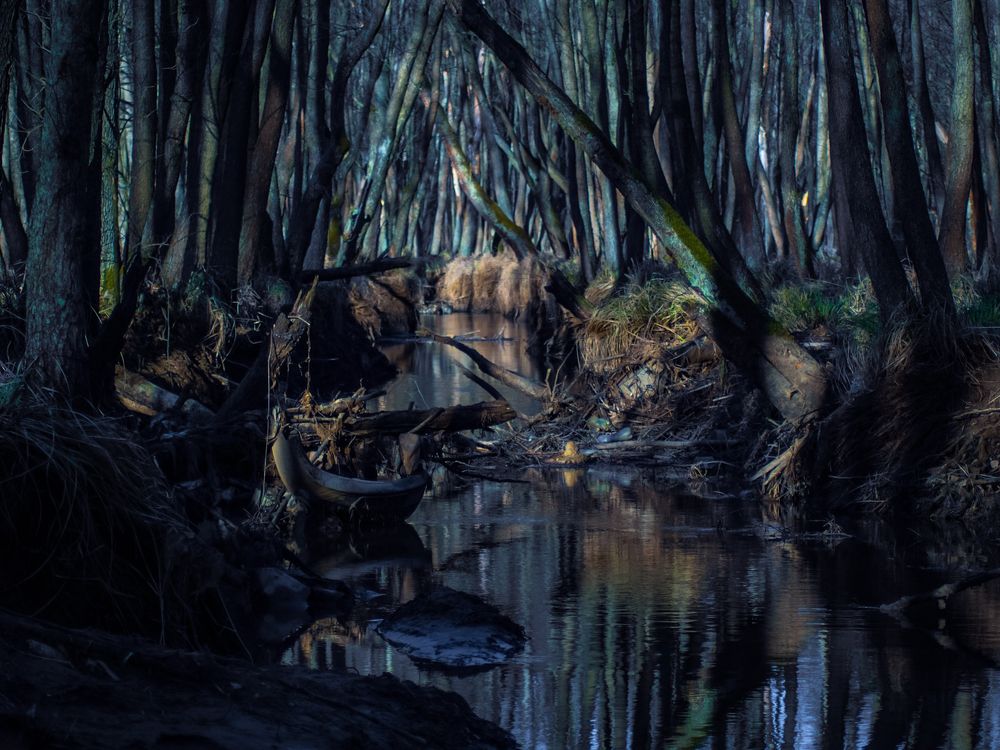 Photograph by Adam Lorenc