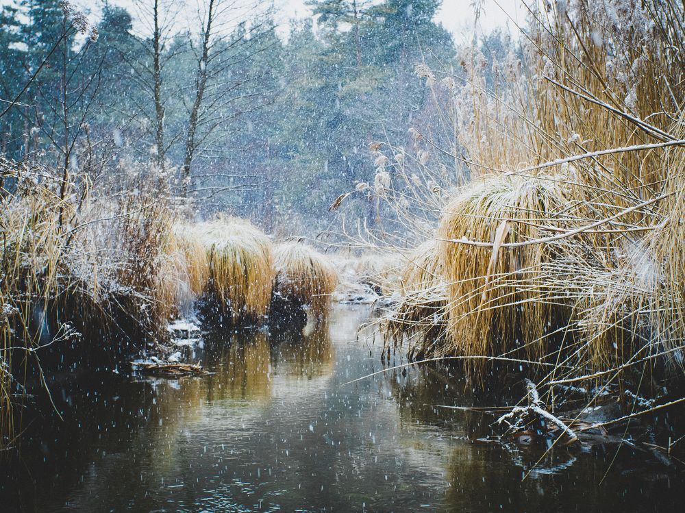 Photograph by Adam Lorenc