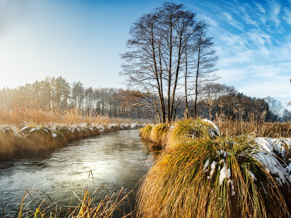 Photograph by Adam Lorenc