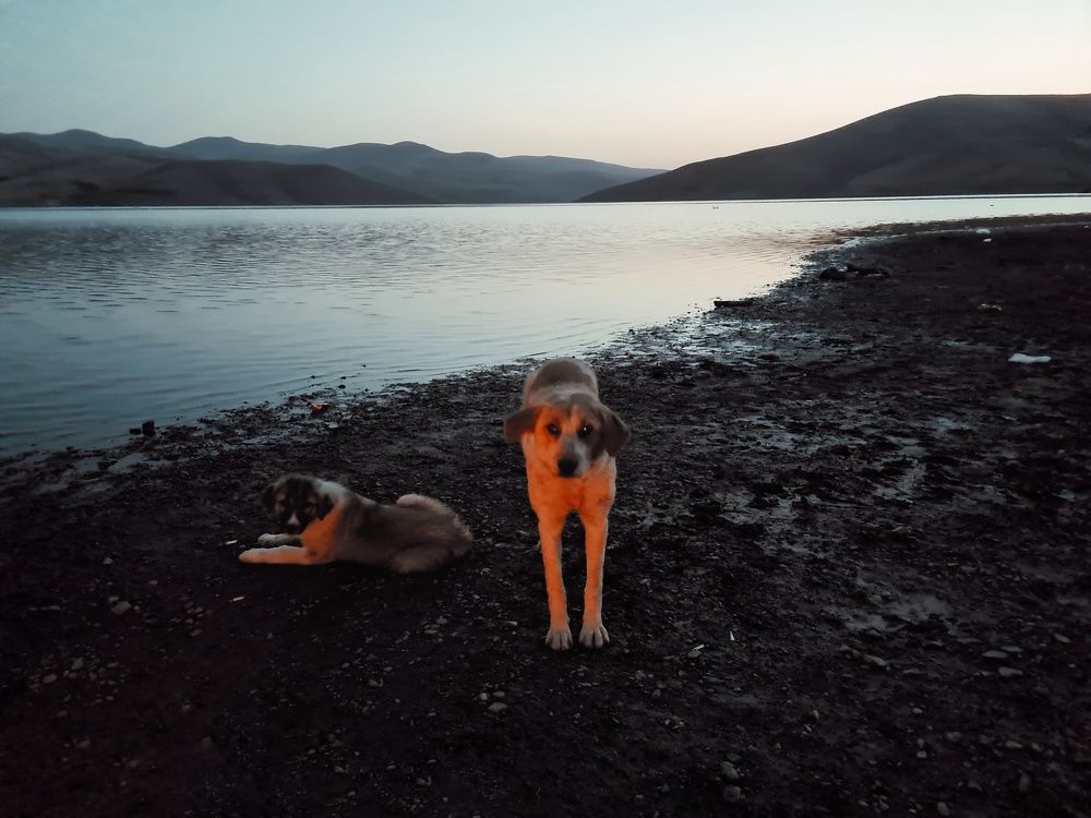Photograph by سرامیک