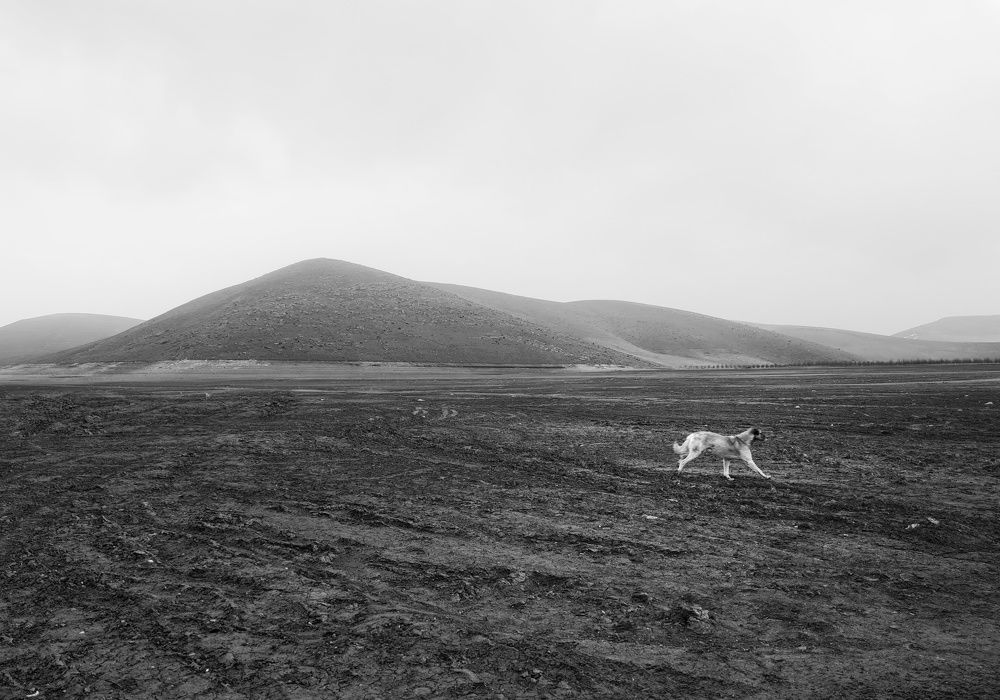 Photo #7452285