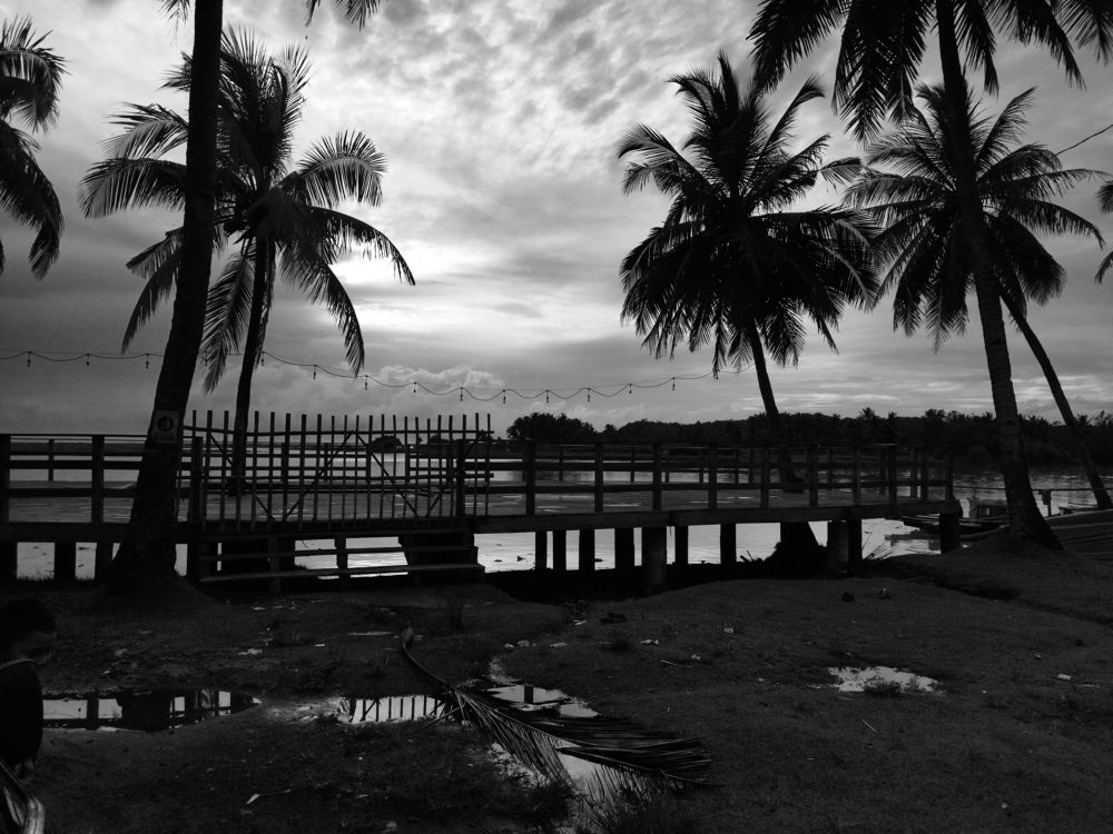 Muara cikaso