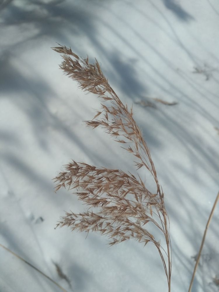 Photograph by Оксана Новосад