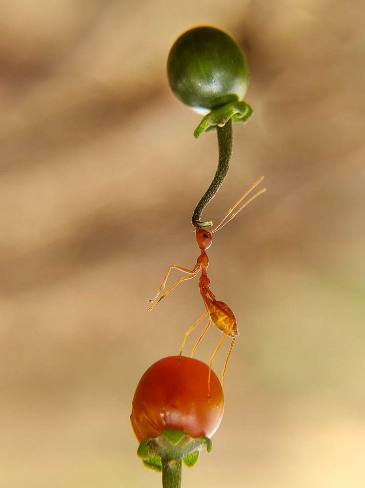 Photograph by Dharmendra Padhiyar