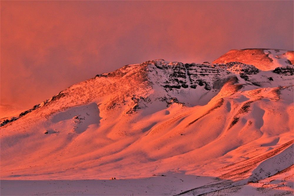 Фотография автора OSMIR ZANETTE