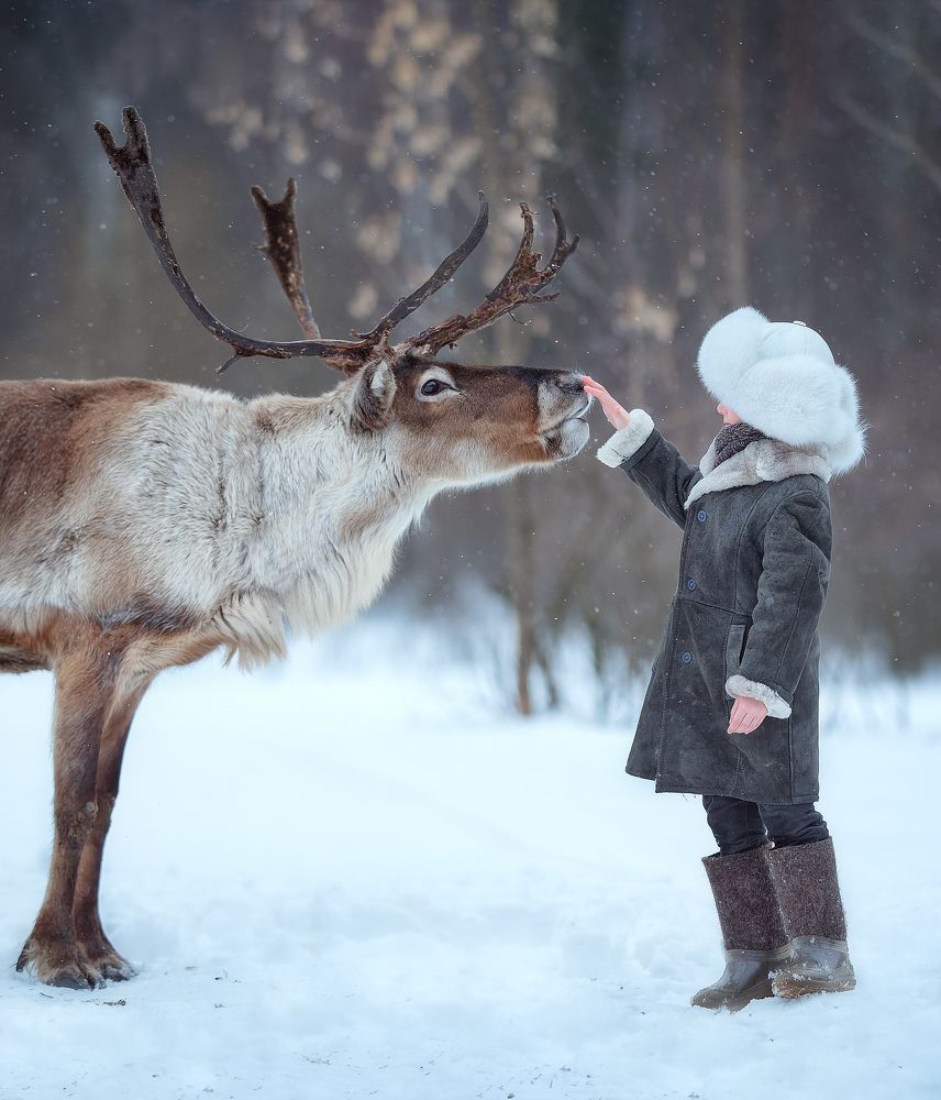 Photograph by Елена Лапина