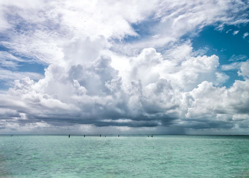 Photograph by Loredana Mihaela Stan