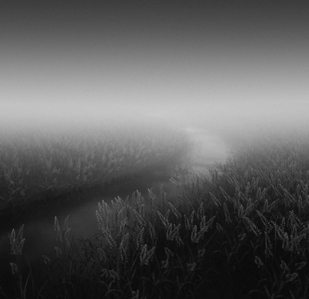 Photograph by Naghian Amirhossein