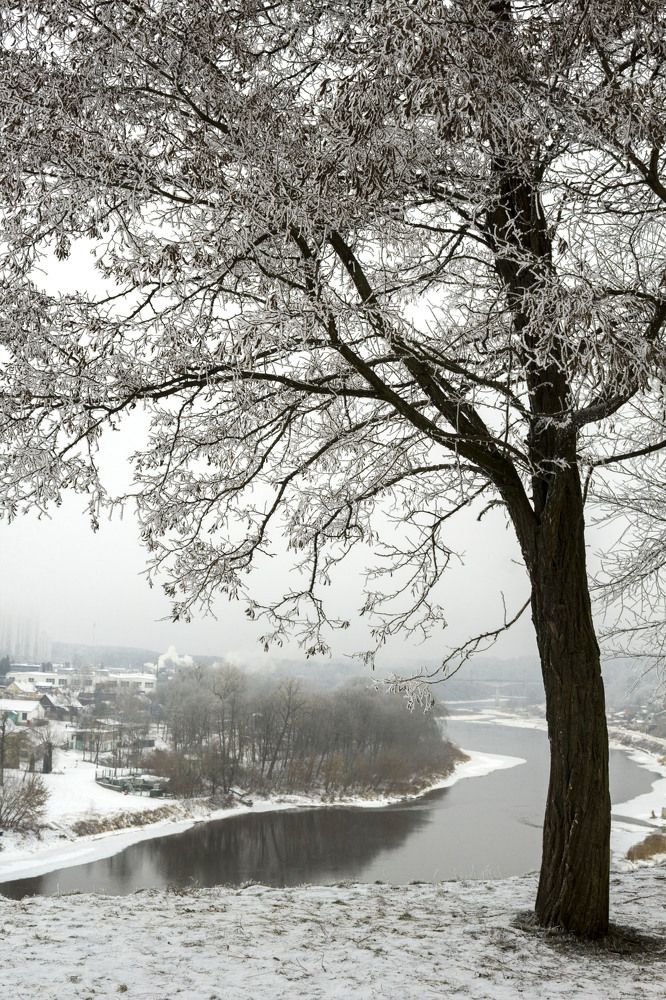 г Гродно Беларусь река Неман