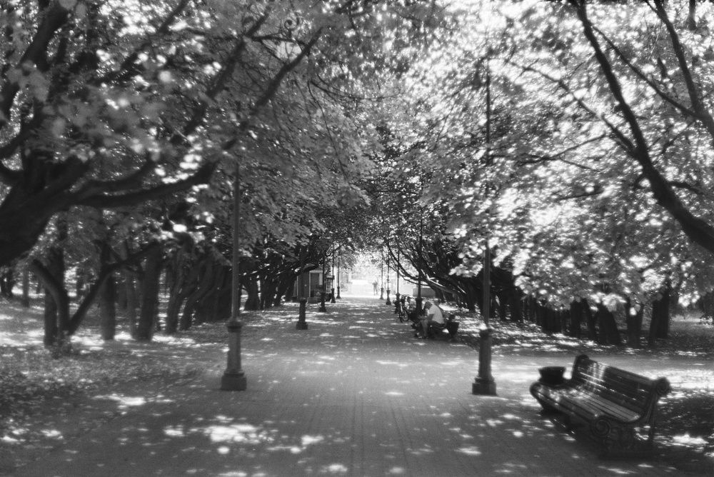 Photograph by Ekaterina Kozlova