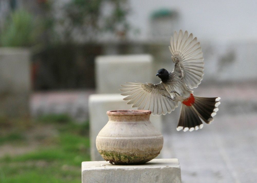 FULL FLAPS TO QUENCH PORT