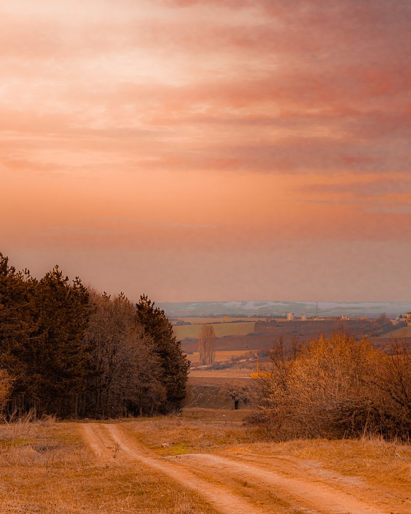 Photograph by Теодора Тодорова