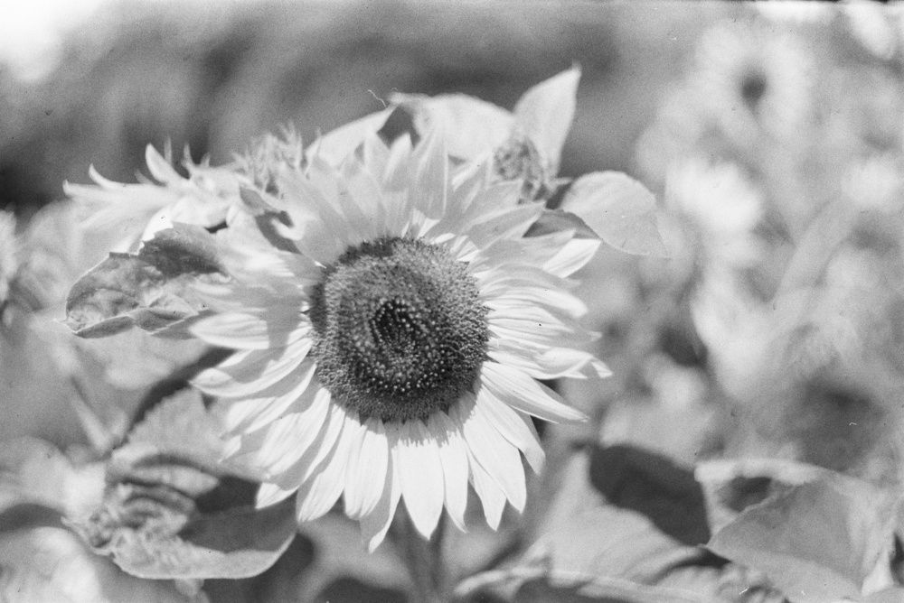 Photograph by Ekaterina Kozlova