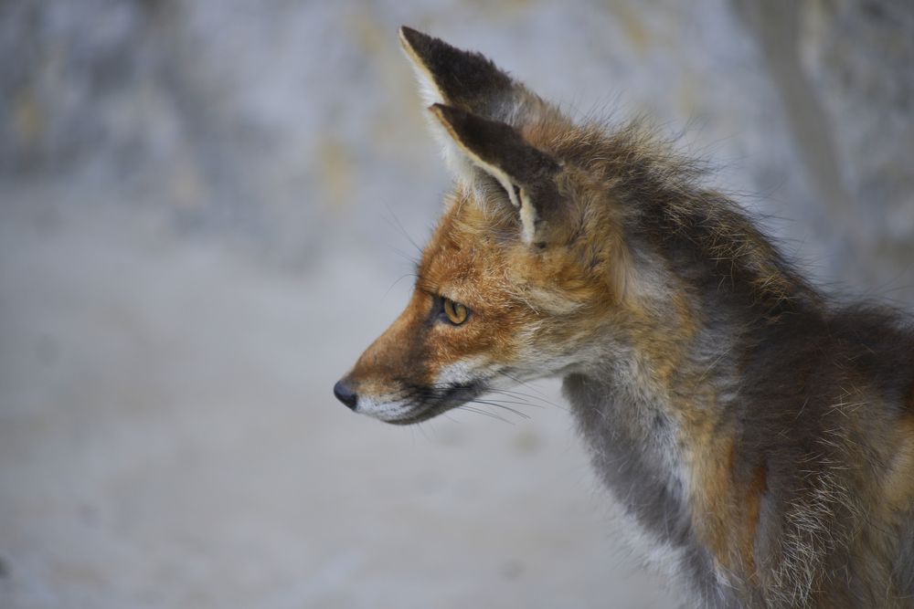 Photograph by Валентин Атрохов