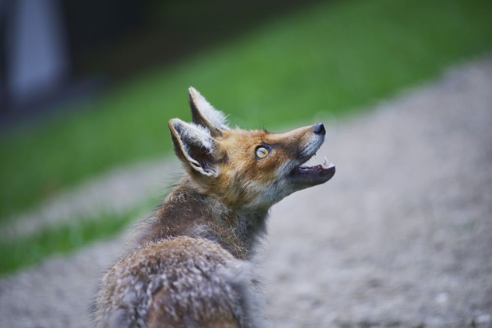 Photograph by Валентин Атрохов