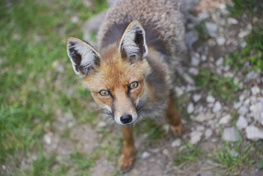 Photograph by Валентин Атрохов