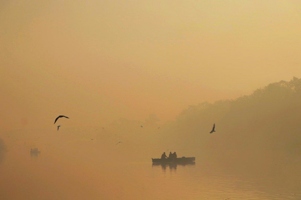 Photograph by Asha Kumari