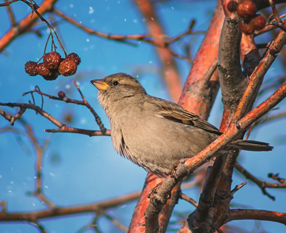 Photograph by Олег Белан