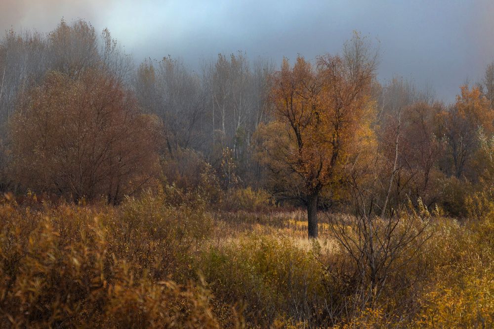 Photograph by Марат Кучкаев