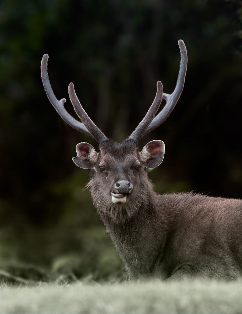 Photograph by Mohamed Raseem