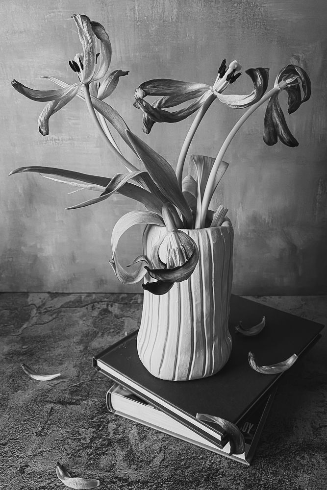 Photograph by Anna Sindikayeva