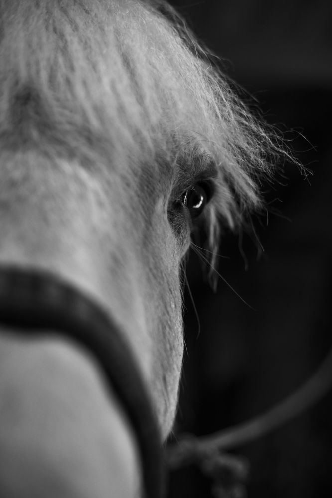 Photograph by Анастасия Осипова