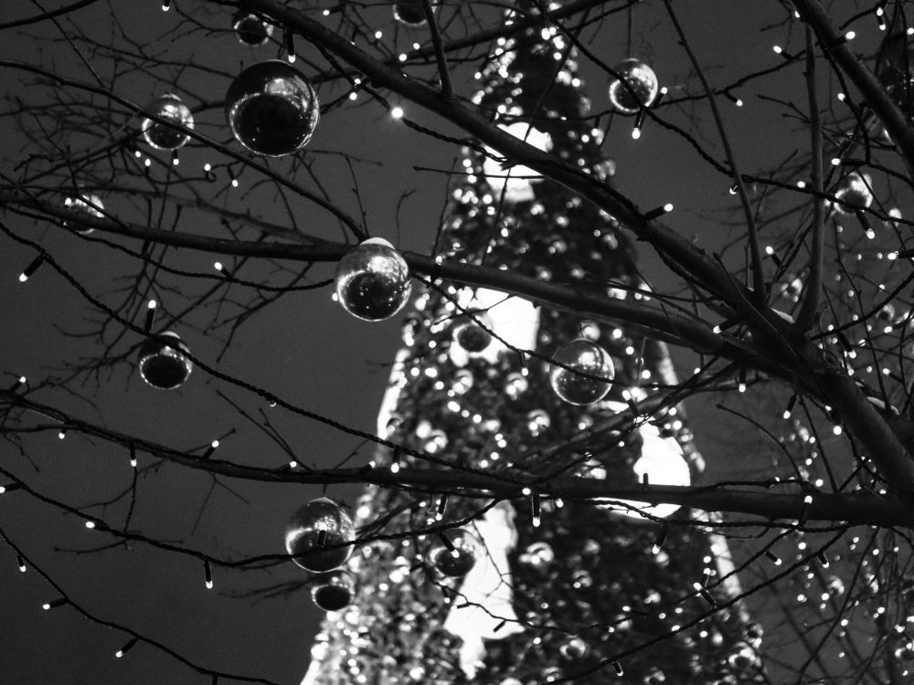 Photograph by Юлия Чиботарь