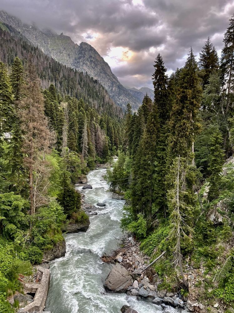 Фотография автора Недосекина Юлия