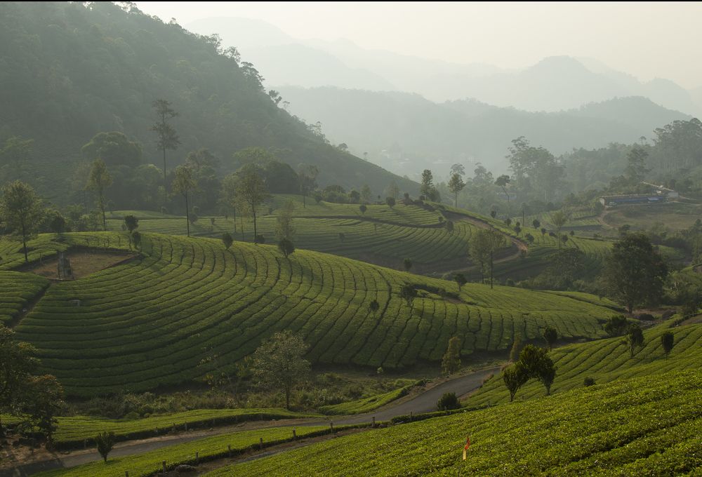 Photograph by Anoop ps