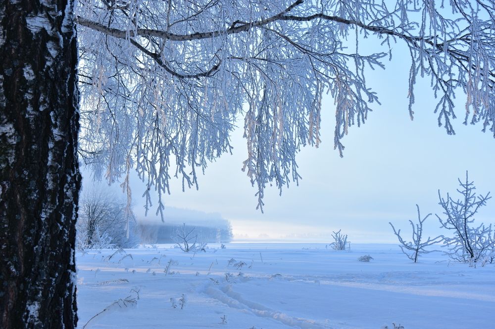Photograph by Валерий Гудков