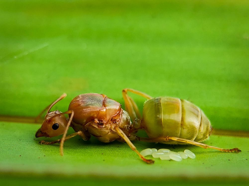 Photograph by Dharmendra Padhiyar