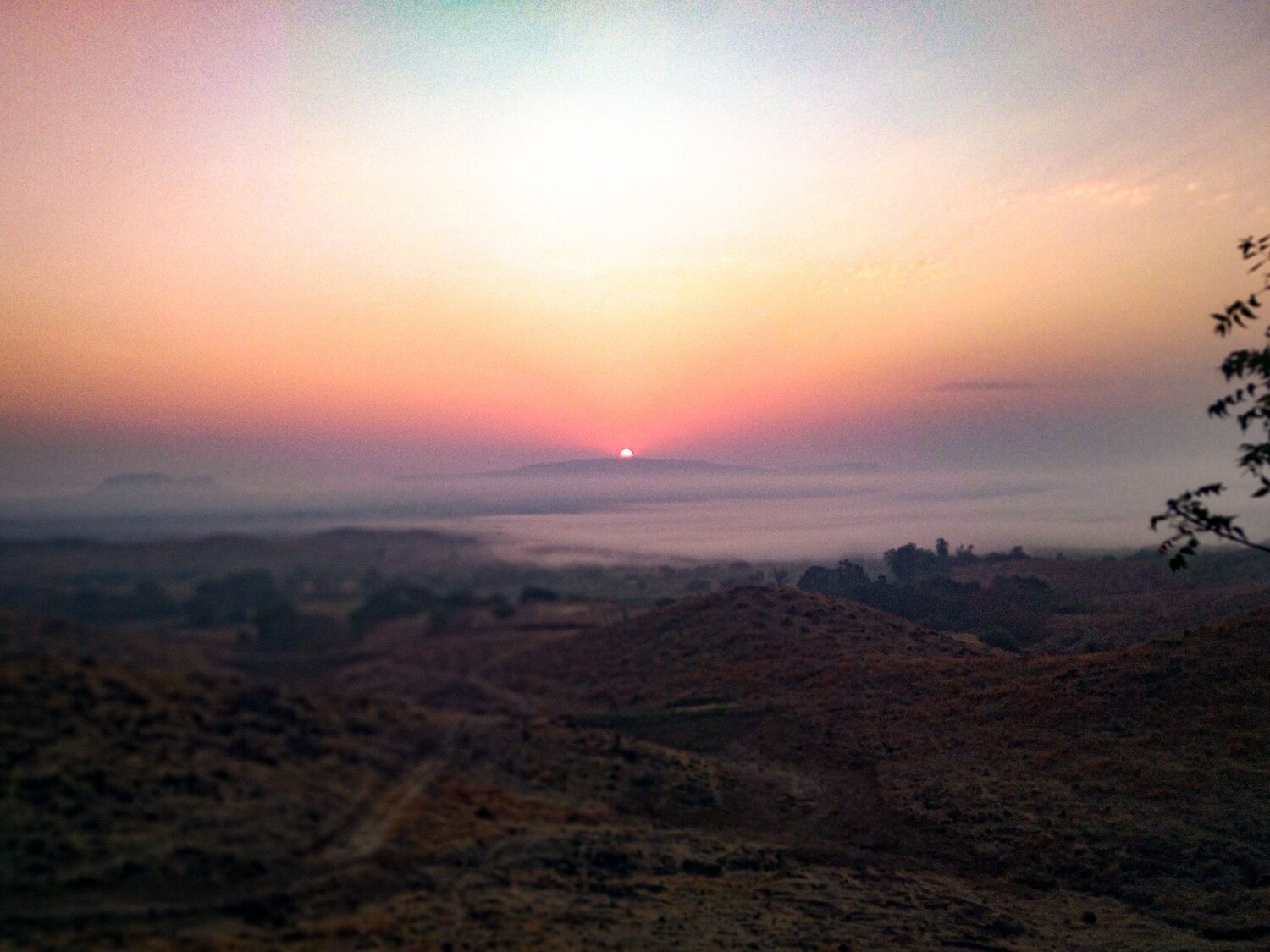 Photo #7453147