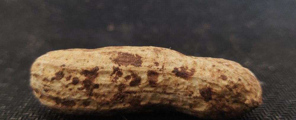 Photograph by Prabhu Viswanathan