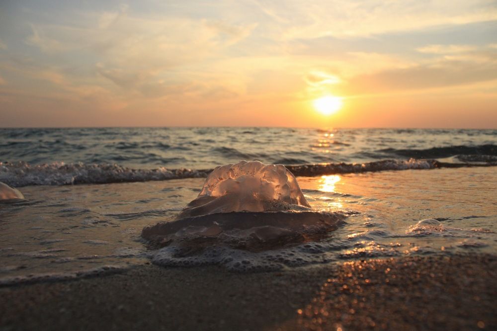 Photograph by Николай Балакин