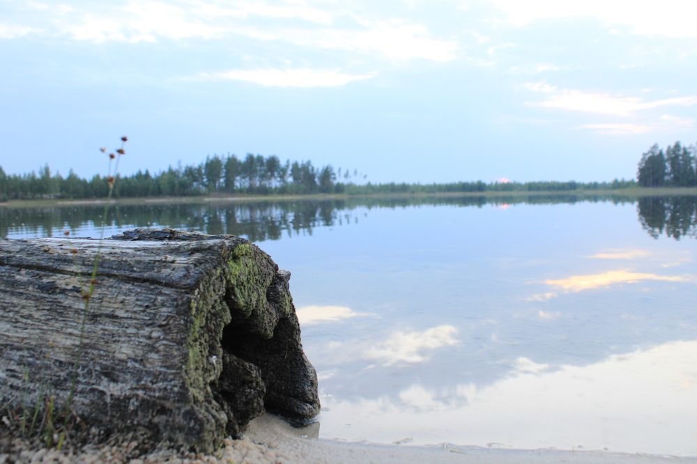 Photograph by Николай Балакин