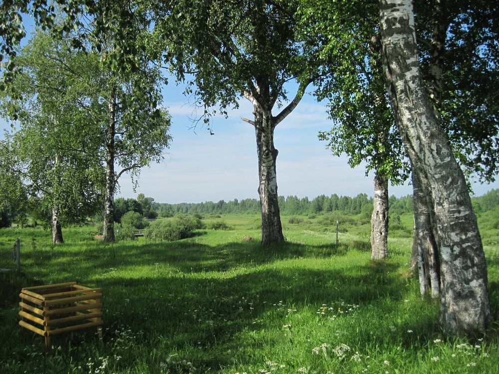 Вологодские леса