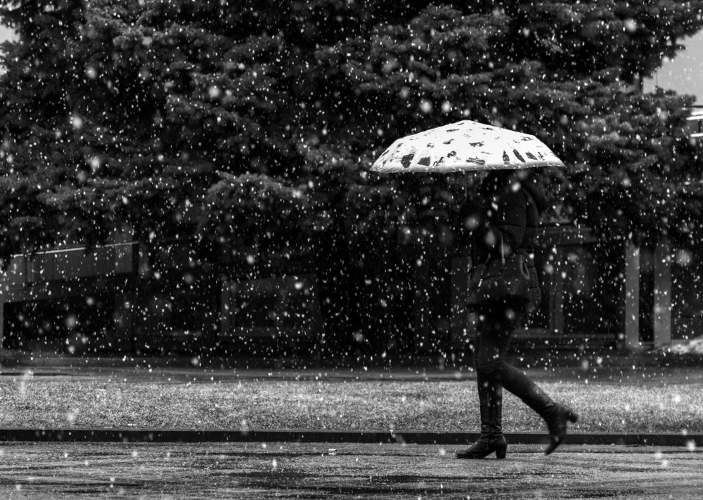 Photograph by Денис Труфанов