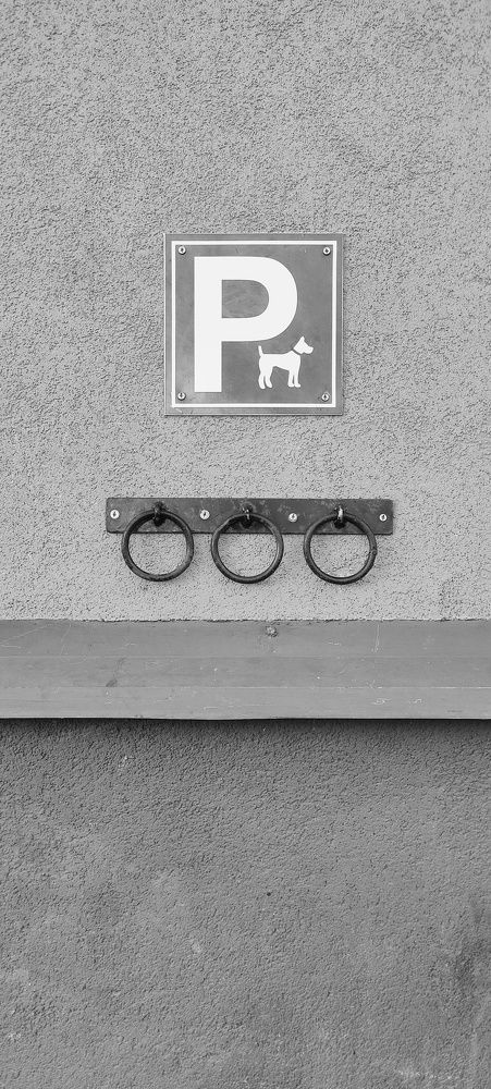 Photograph by Александр Жигульский