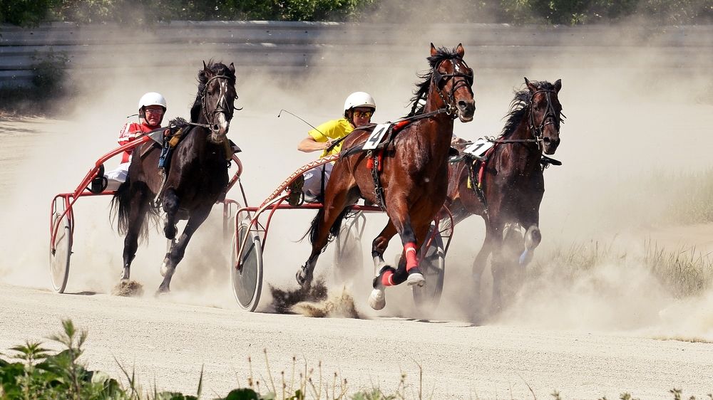 Photograph by Aleksandr