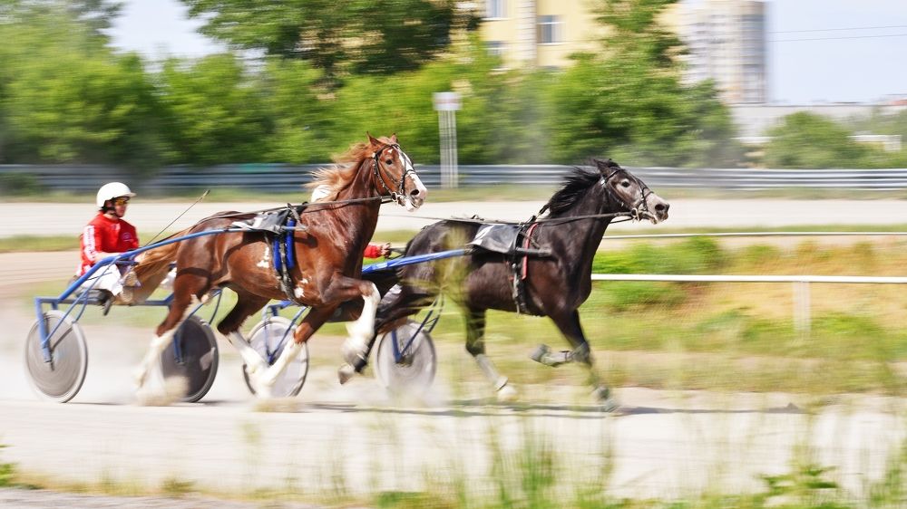 Photograph by Aleksandr