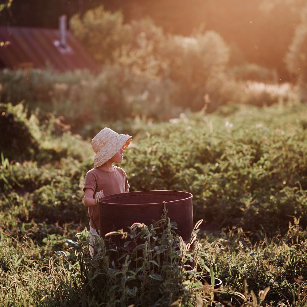 Фотография автора Анна Беляева