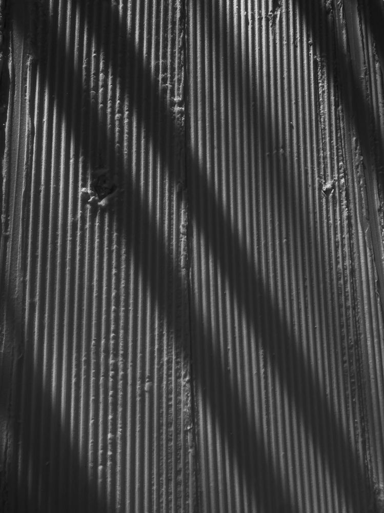 Photograph by Юлия Литвинова