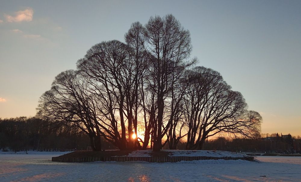 Photograph by Алексей Андреев