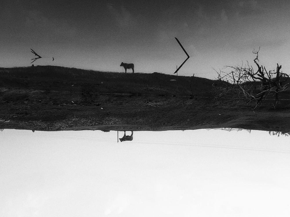 Photo #7453877