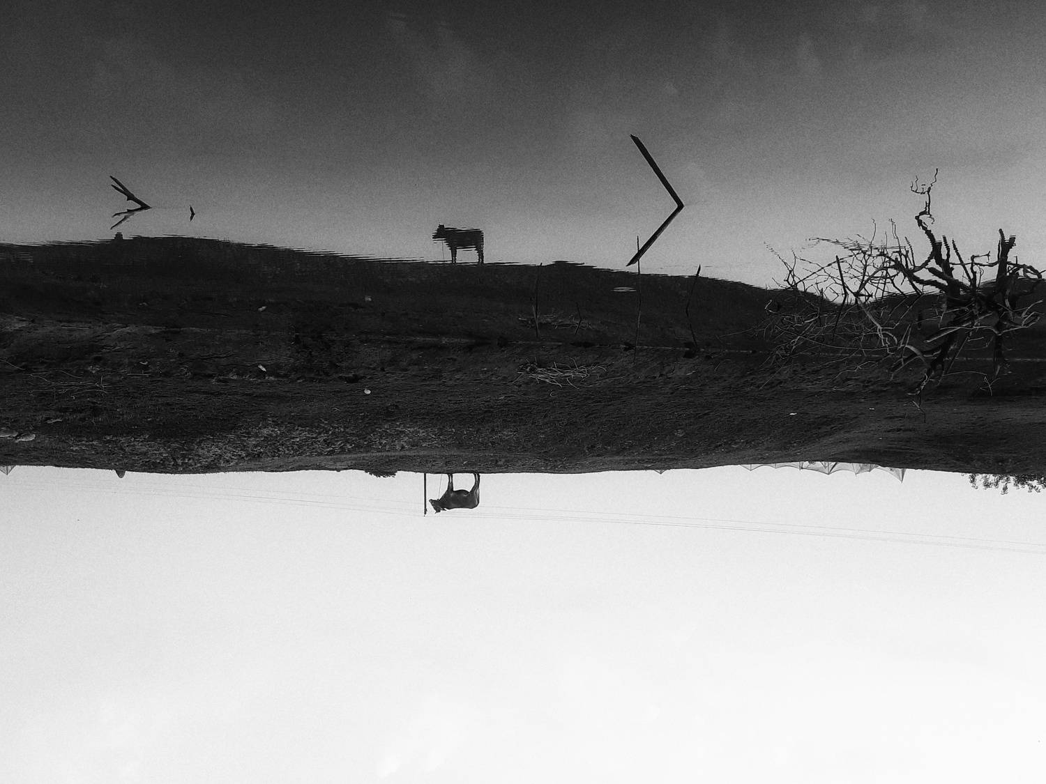 Photo #7453877
