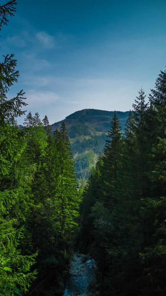 Фотография автора Артем Шаповал