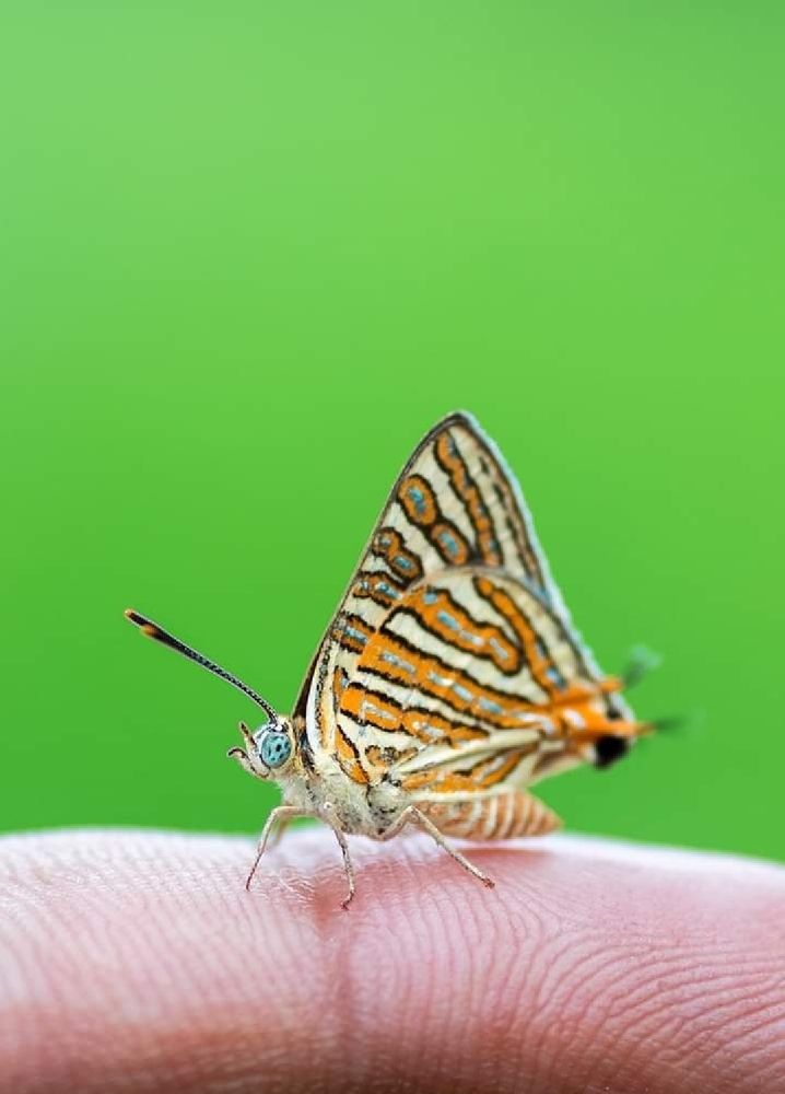 Photograph by hirenkumar janakbhai joshi
