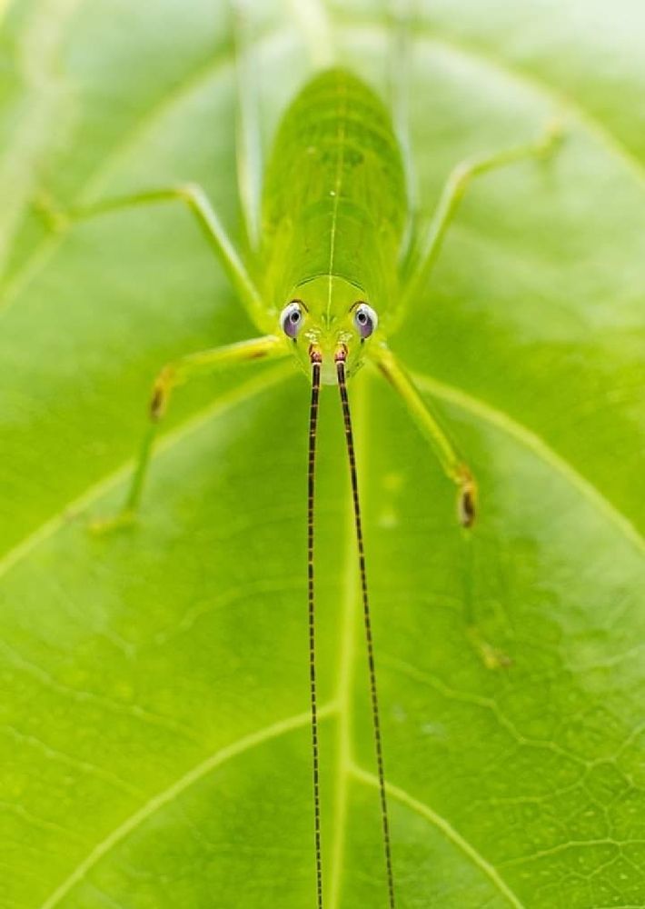 Photograph by hirenkumar janakbhai joshi