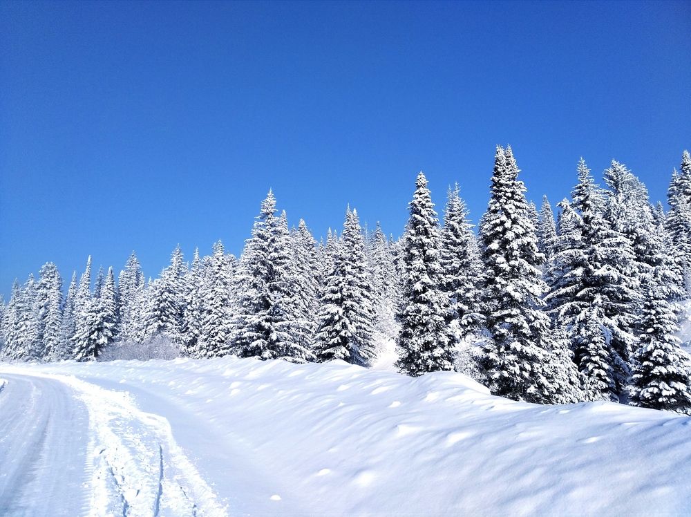 Photograph by Анатолий